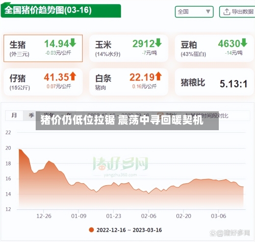 猪价仍低位拉锯 震荡中寻回暖契机