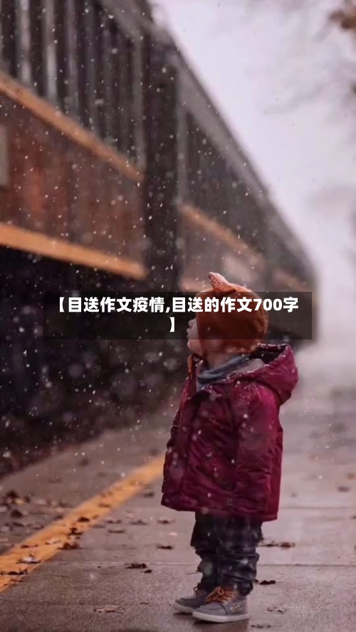 【目送作文疫情,目送的作文700字】