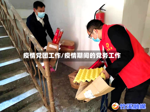 疫情党团工作/疫情期间的党务工作