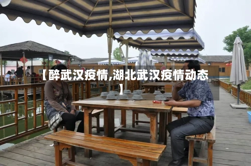 【醉武汉疫情,湖北武汉疫情动态】