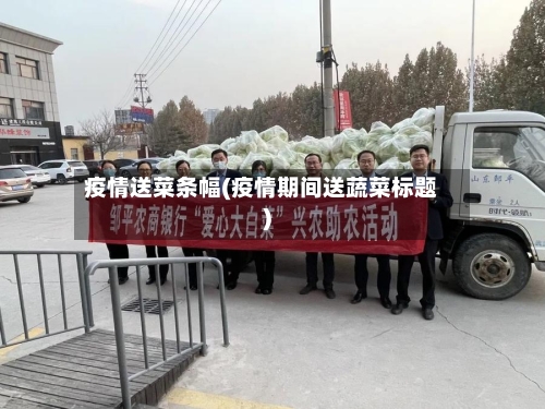疫情送菜条幅(疫情期间送蔬菜标题)