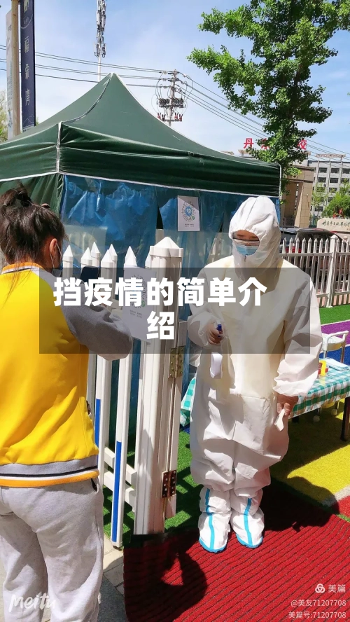 挡疫情的简单介绍