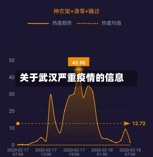 关于武汉严重疫情的信息