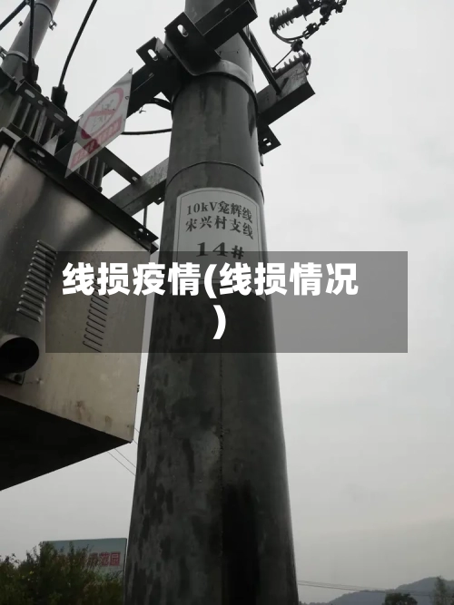 线损疫情(线损情况)