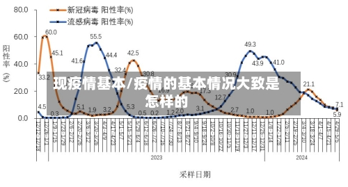 现疫情基本/疫情的基本情况大致是怎样的