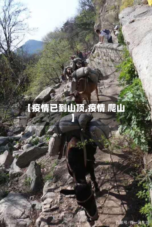 【疫情已到山顶,疫情 爬山】