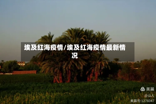 埃及红海疫情/埃及红海疫情最新情况
