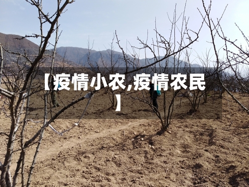 【疫情小农,疫情农民】