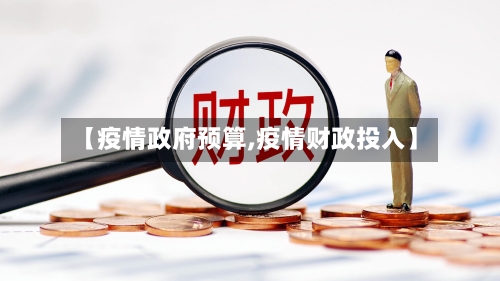 【疫情政府预算,疫情财政投入】