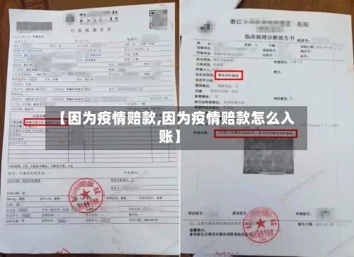 【因为疫情赔款,因为疫情赔款怎么入账】