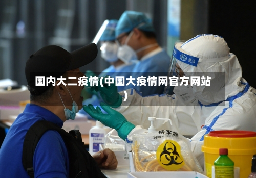 国内大二疫情(中国大疫情网官方网站)