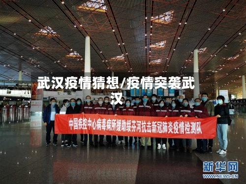 武汉疫情猜想/疫情突袭武汉