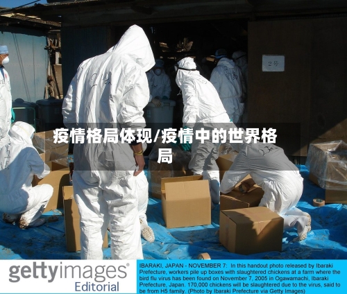 疫情格局体现/疫情中的世界格局