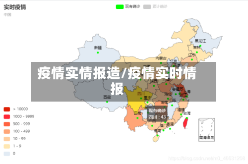 疫情实情报造/疫情实时情报