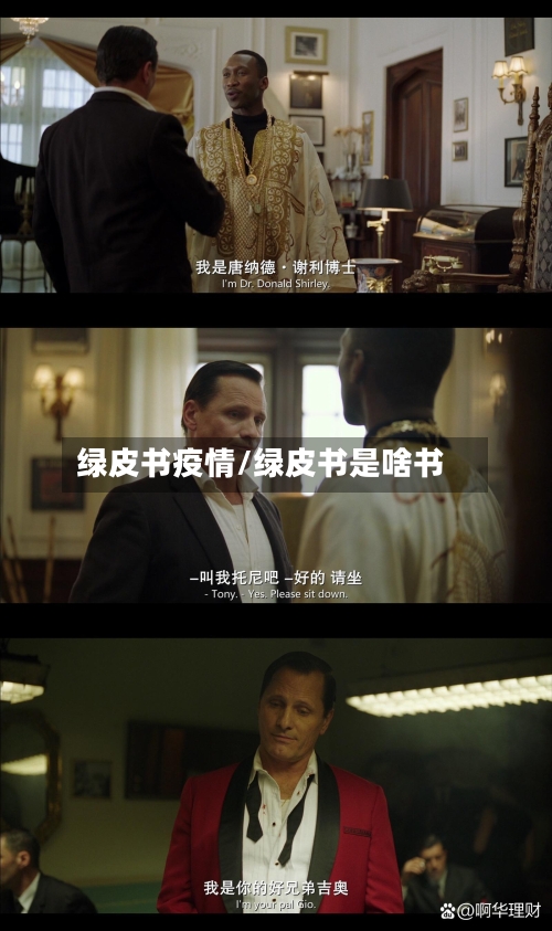 绿皮书疫情/绿皮书是啥书