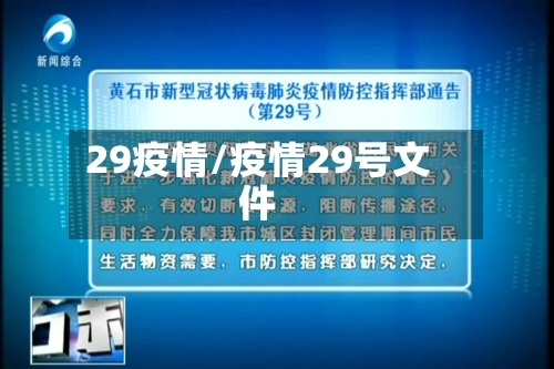 29疫情/疫情29号文件