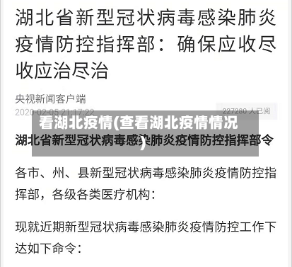 看湖北疫情(查看湖北疫情情况)