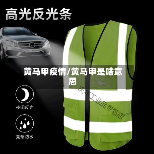 黄马甲疫情/黄马甲是啥意思