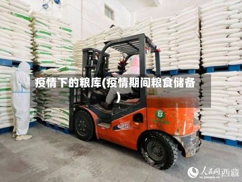 疫情下的粮库(疫情期间粮食储备)