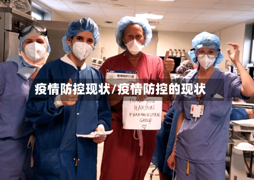 疫情防控现状/疫情防控的现状