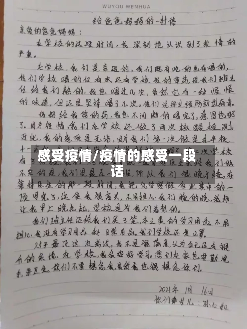 感受疫情/疫情的感受一段话