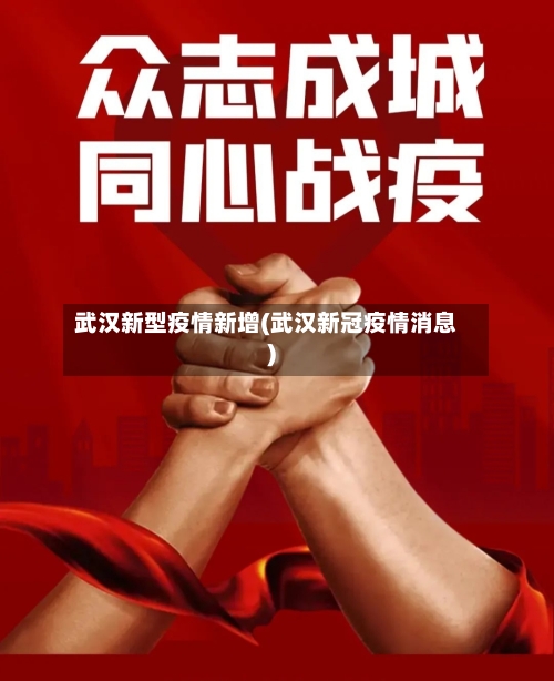 武汉新型疫情新增(武汉新冠疫情消息)