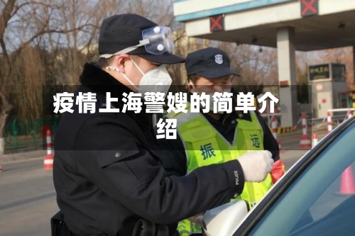 疫情上海警嫂的简单介绍