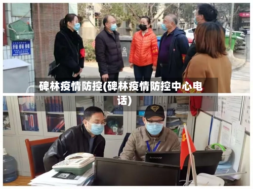 碑林疫情防控(碑林疫情防控中心电话)