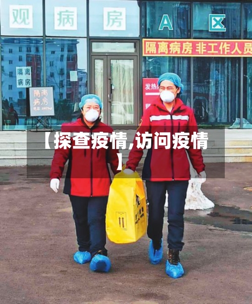【探查疫情,访问疫情】