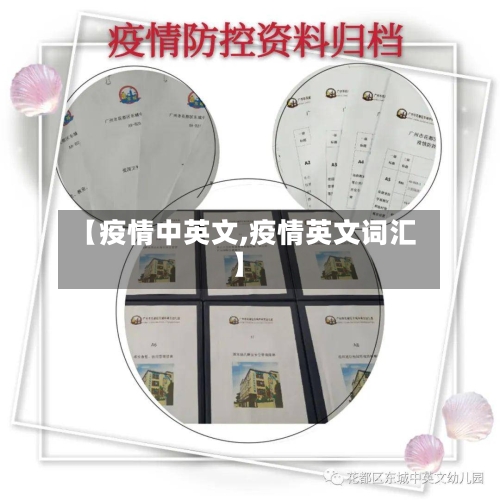 【疫情中英文,疫情英文词汇】