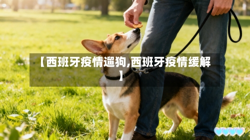 【西班牙疫情遛狗,西班牙疫情缓解】