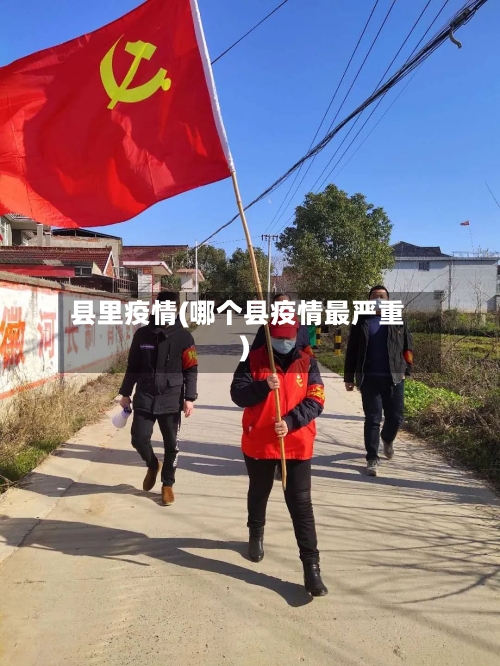 县里疫情(哪个县疫情最严重)