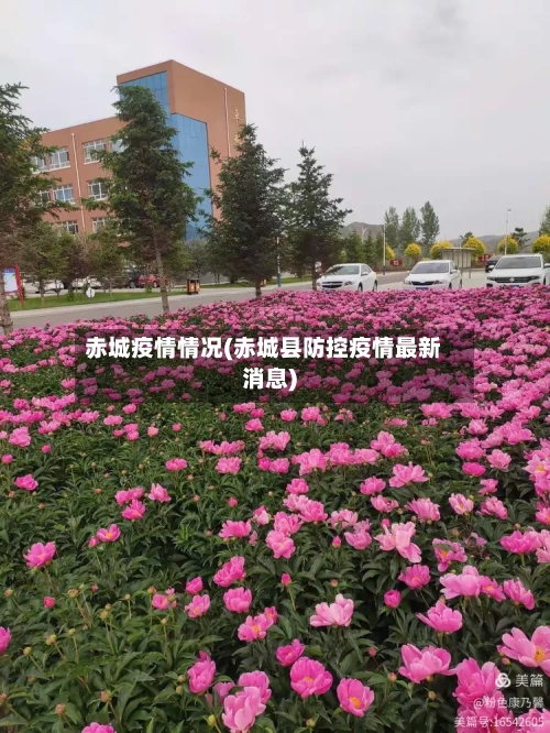 赤城疫情情况(赤城县防控疫情最新消息)
