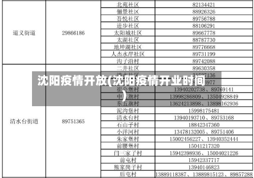 沈阳疫情开放(沈阳疫情开业时间)