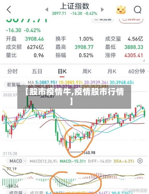 【股市疫情牛,疫情股市行情】