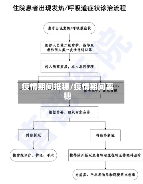 疫情期间抵穗/疫情期间离穗