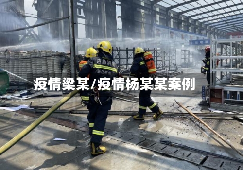 疫情梁某/疫情杨某某案例