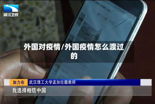 外国对疫情/外国疫情怎么渡过的