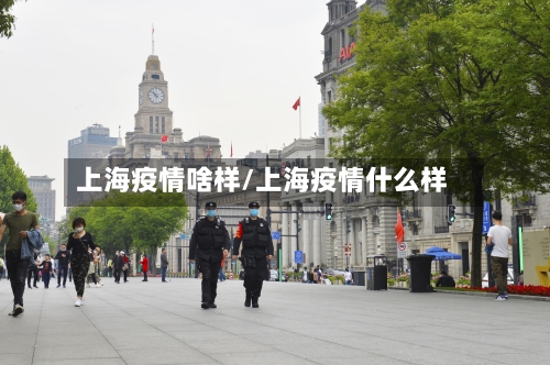 上海疫情啥样/上海疫情什么样