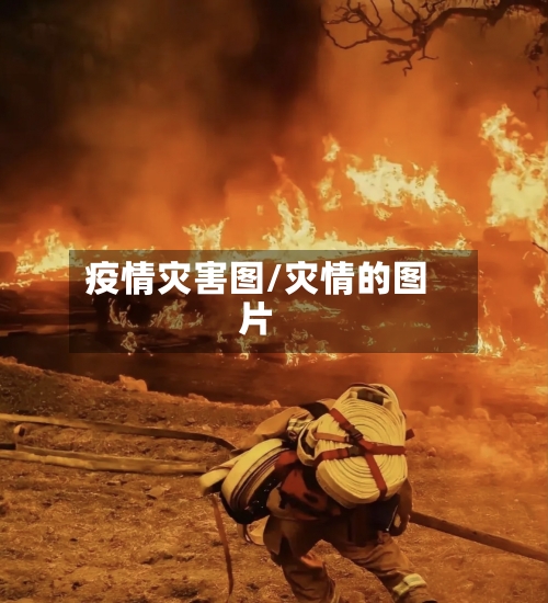 疫情灾害图/灾情的图片