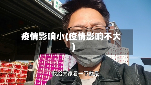 疫情影响小(疫情影响不大)