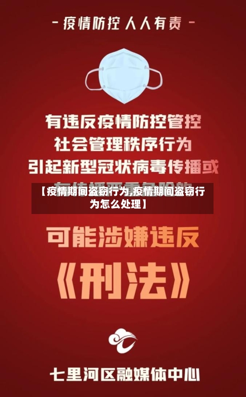【疫情期间盗窃行为,疫情期间盗窃行为怎么处理】