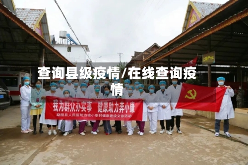查询县级疫情/在线查询疫情