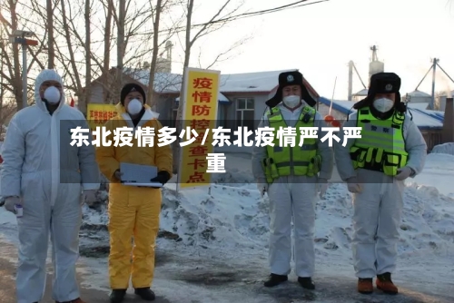 东北疫情多少/东北疫情严不严重