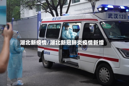 湖北新疫情/湖北新冠肺炎疫情新增