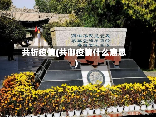 共祈疫情(共御疫情什么意思)