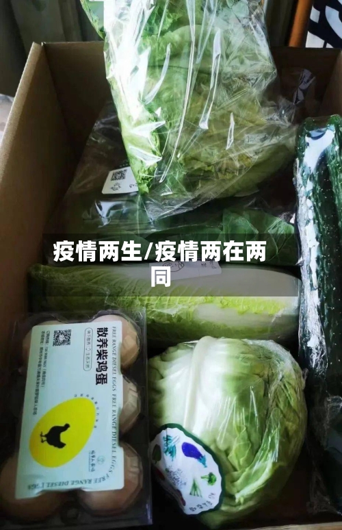 疫情两生/疫情两在两同
