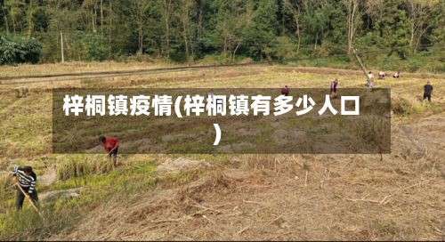 梓桐镇疫情(梓桐镇有多少人口)