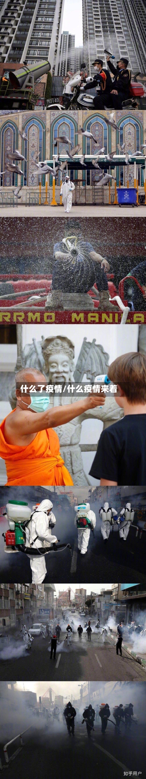 什么了疫情/什么疫情来着