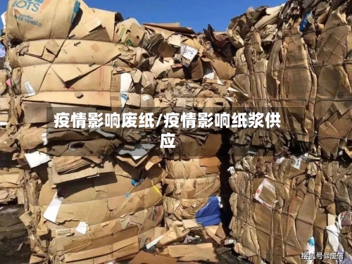 疫情影响废纸/疫情影响纸浆供应